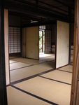 20-katsura