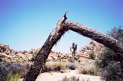 hidden valley 
trail