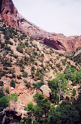 zion national 
park