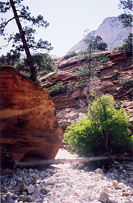 pretty rocks 
and plants, and it won't be the last of them either