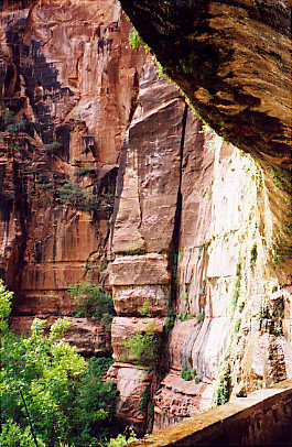 weeping rock, 
zion